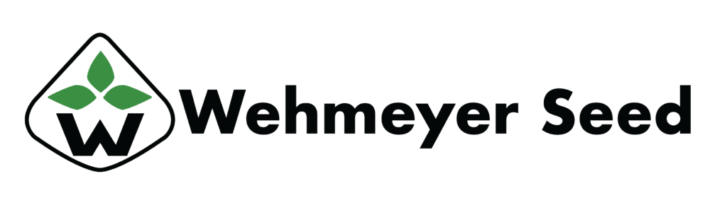 WS Logo_1 Line_color