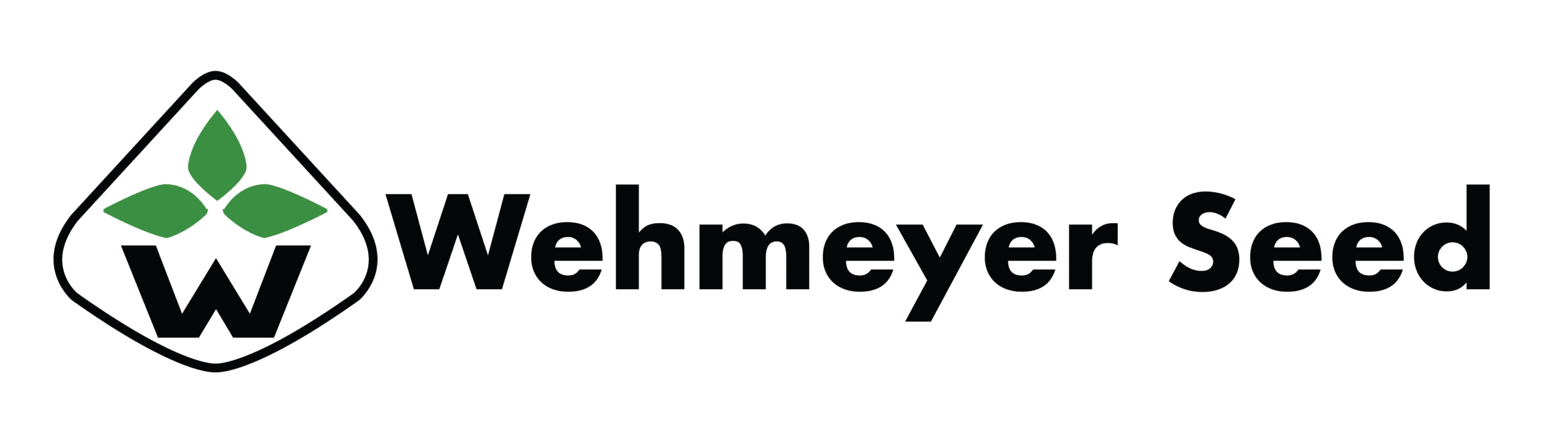 WS Logo_1 Line_color