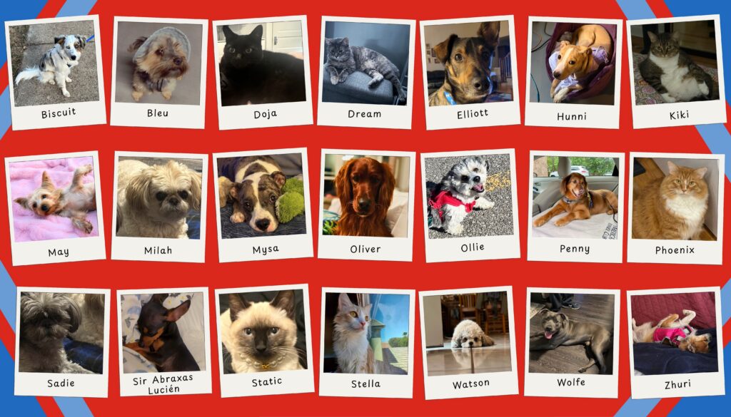 Polaroid-style collage titled “Pets of Rx Outreach” showing photos of staff dogs and cats with their names on a red background.