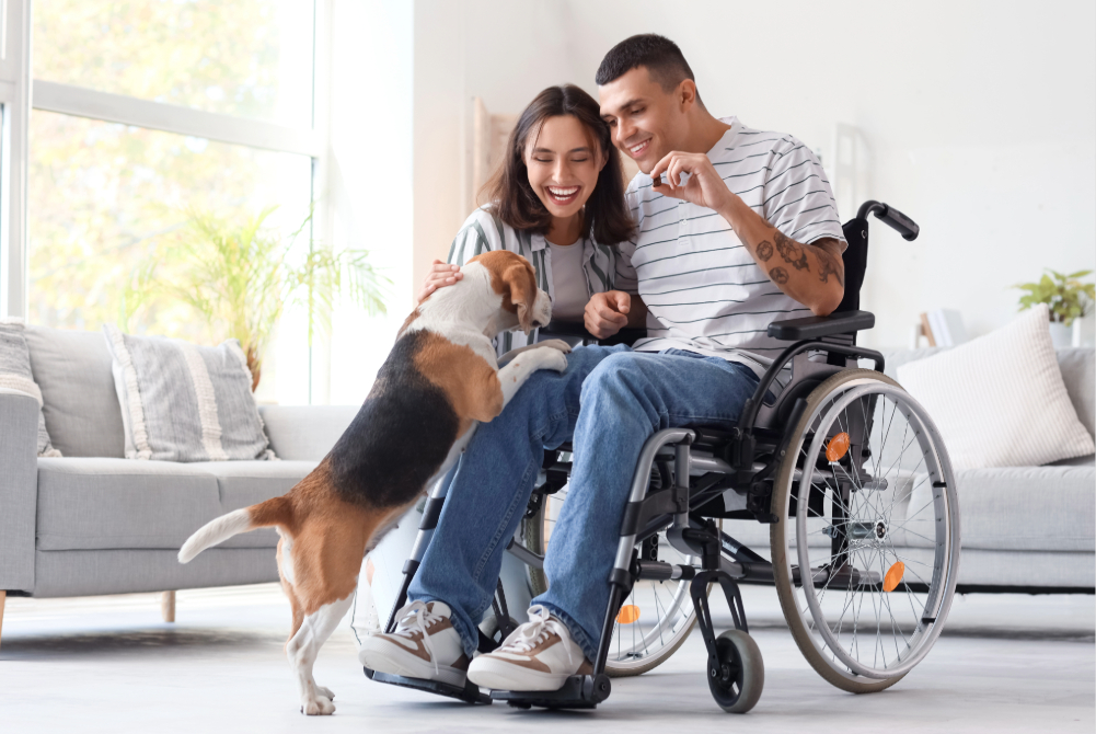 pet medication medication access rx outreach non profit pharmacy